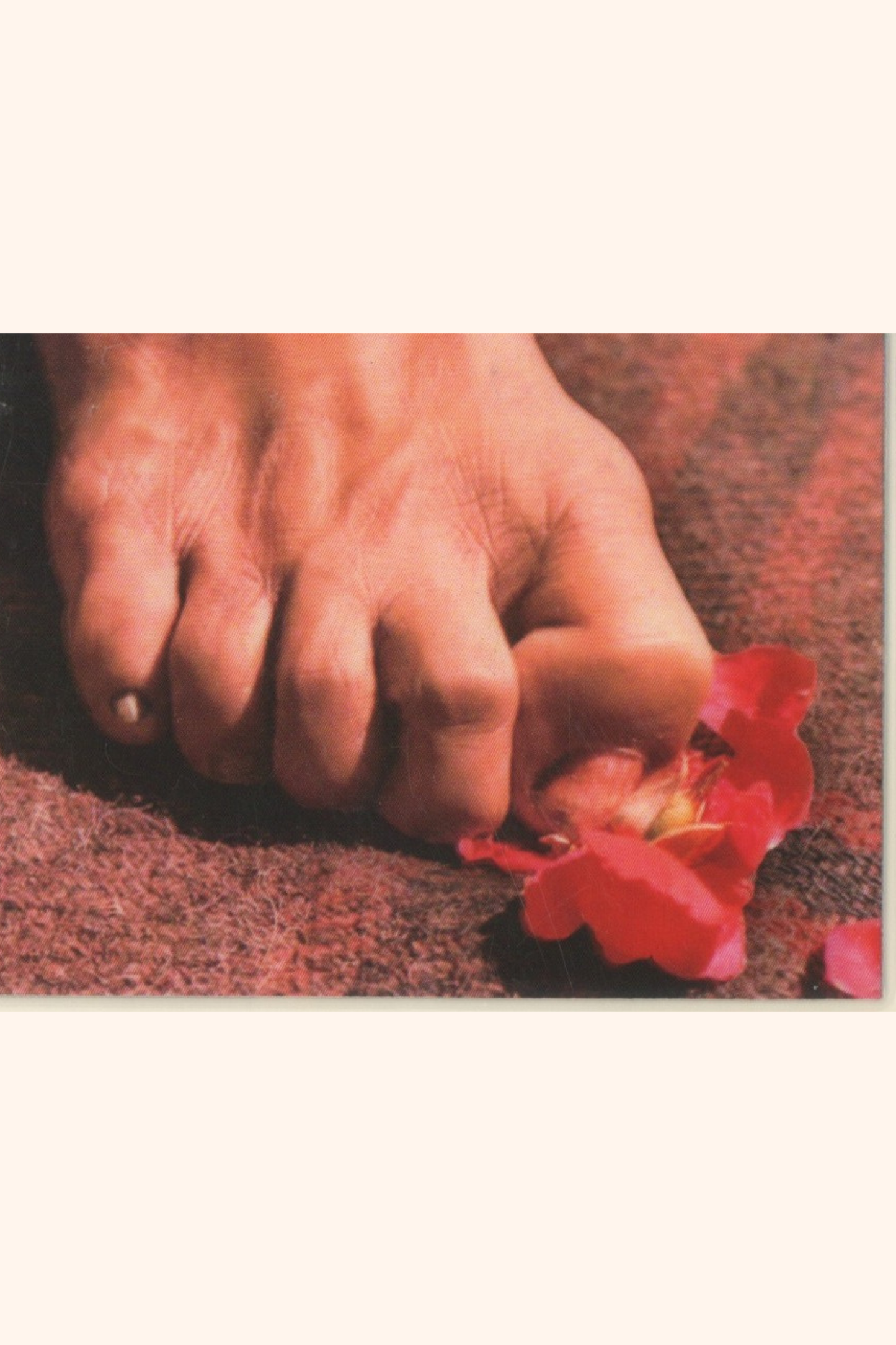 लेमिनेटेड कार्ड C39 - कार्ड के पीछे महाराज जी के चरण, फोटो सहित