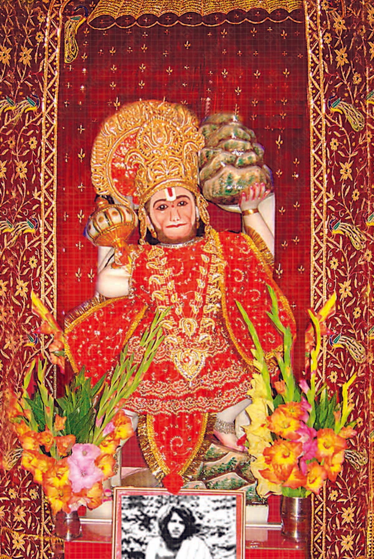 Small Sized Photos 10 Pack