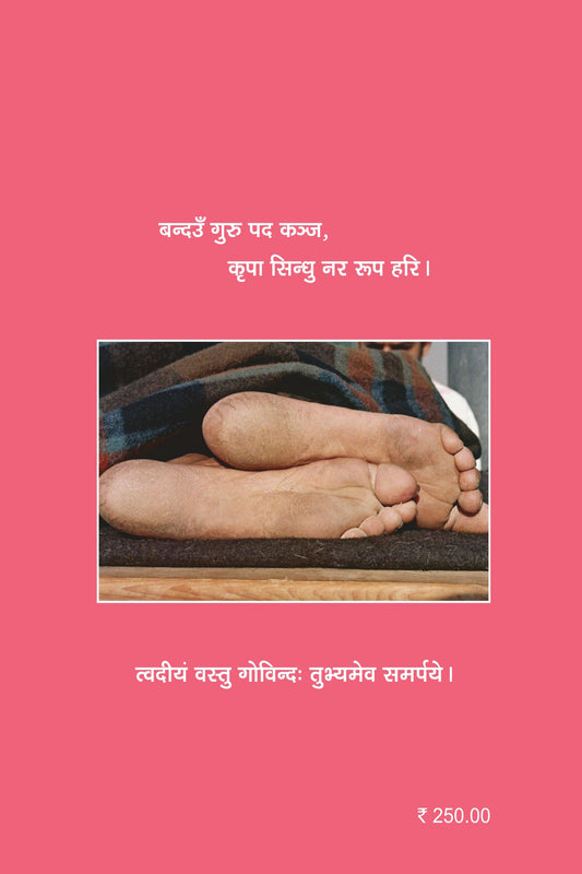 Baba Neem Karoli Maharaj JI's feet